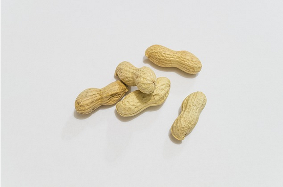 protéines et cacahuètes