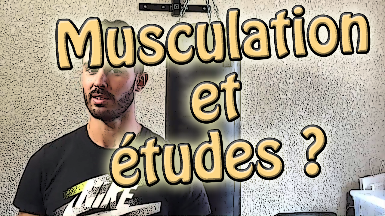Musculation pour étudiant – Musculation et études !